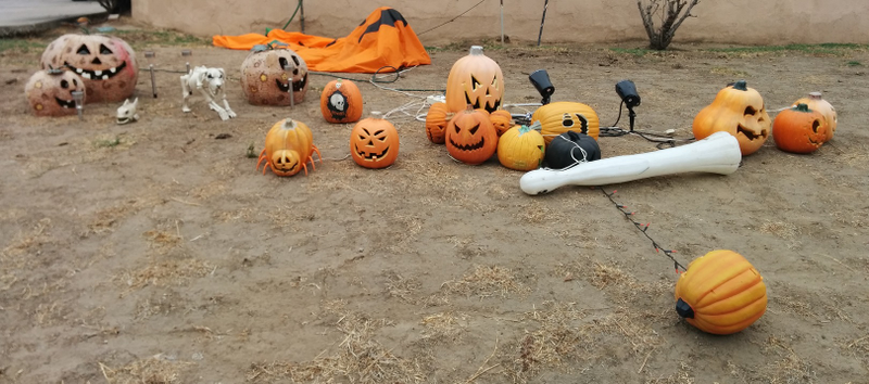 Illustration for article titled Halloween Decorations
